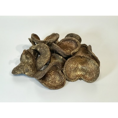 12 Badam Nut Brushed Gold - Bag 